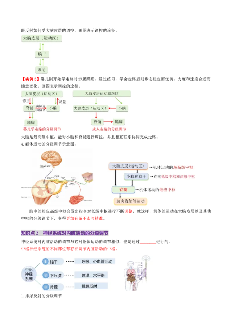 第25讲神经调节（第二课时，神经冲动的产生和传导、神经系统的分级调节和人脑的高级功能）（讲义）（原卷版）_2025年新高考资料_一轮复习