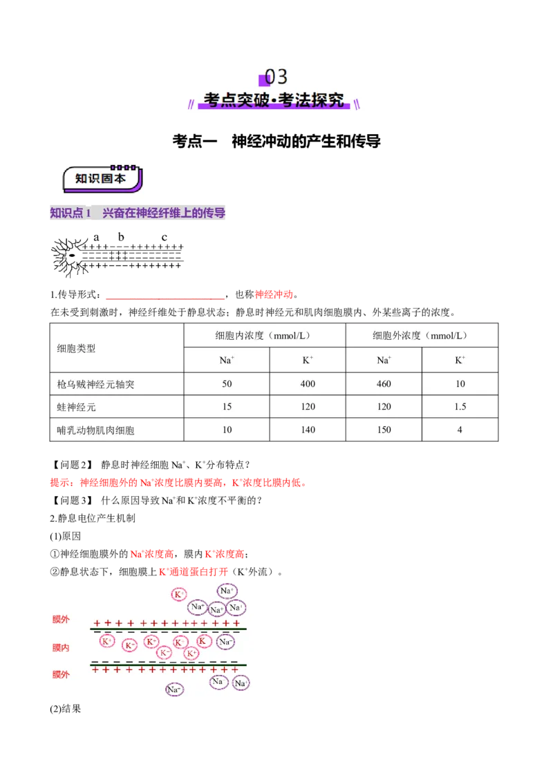 第25讲神经调节（第二课时，神经冲动的产生和传导、神经系统的分级调节和人脑的高级功能）（讲义）（原卷版）_2025年新高考资料_一轮复习