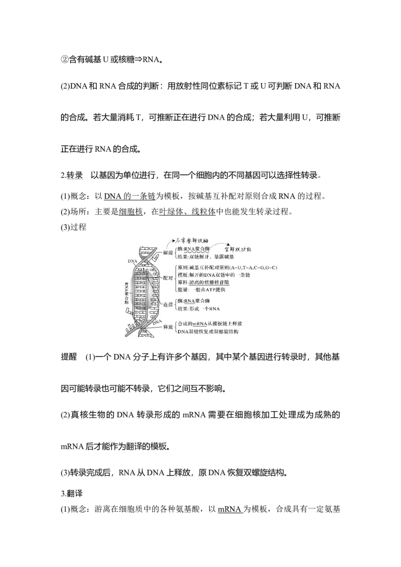 第18讲基因的表达_通用版（老高考）复习资料_2023年复习资料_一轮复习_2023年高考生物一轮复习讲义+课件（全国版）_2023年高考生物一轮复习讲义（全国版）_赠补充习题