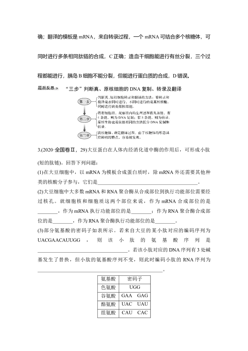 第18讲基因的表达_通用版（老高考）复习资料_2023年复习资料_一轮复习_2023年高考生物一轮复习讲义+课件（全国版）_2023年高考生物一轮复习讲义（全国版）_赠补充习题