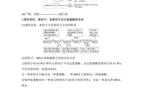 第18讲基因的表达_通用版（老高考）复习资料_2023年复习资料_一轮复习_2023年高考生物一轮复习讲义+课件（全国版）_2023年高考生物一轮复习讲义（全国版）_赠补充习题
