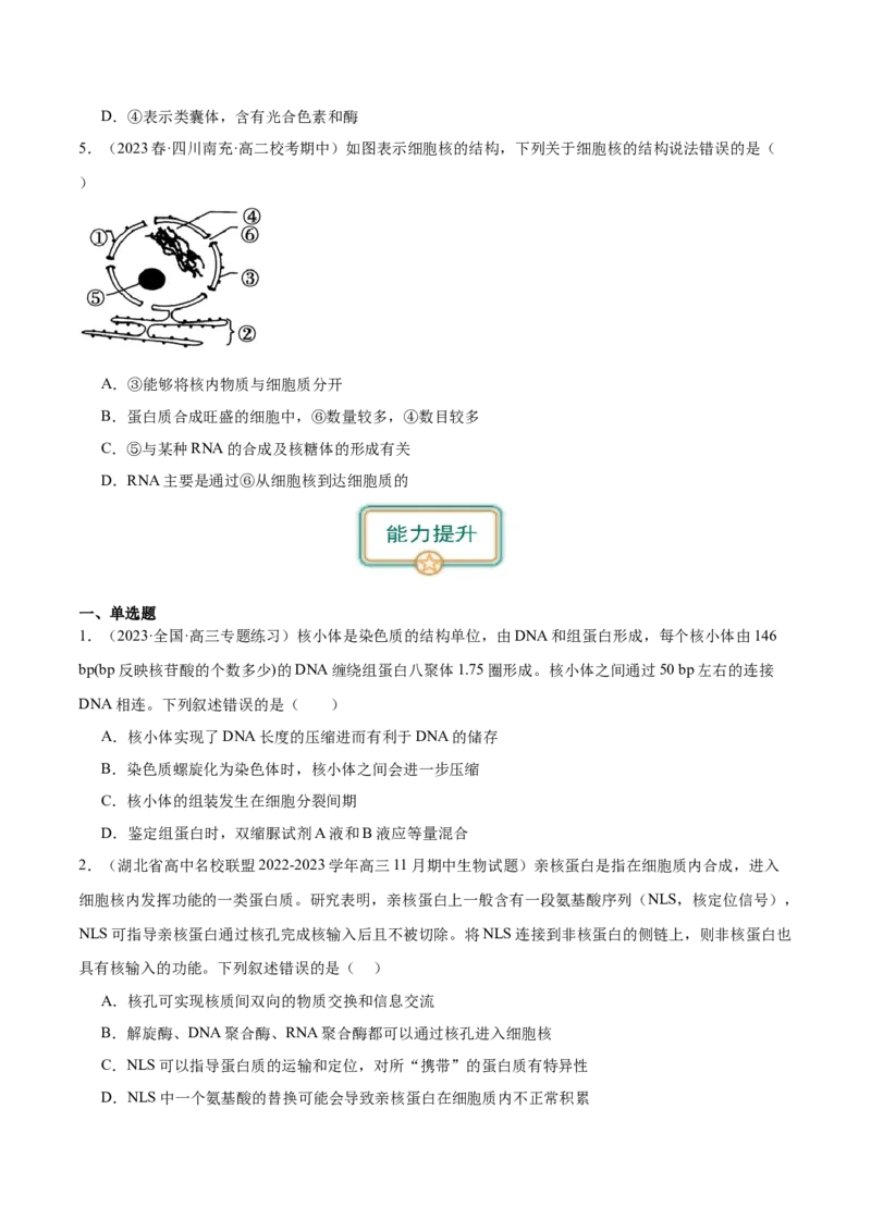 第3讲细胞核的结构和功能（原卷版）_通用版（老高考）复习资料_2024年复习资料_完备战2024年高考生物一轮复习考点帮（全国通用）_专题三细胞的基本结构和物质的运输