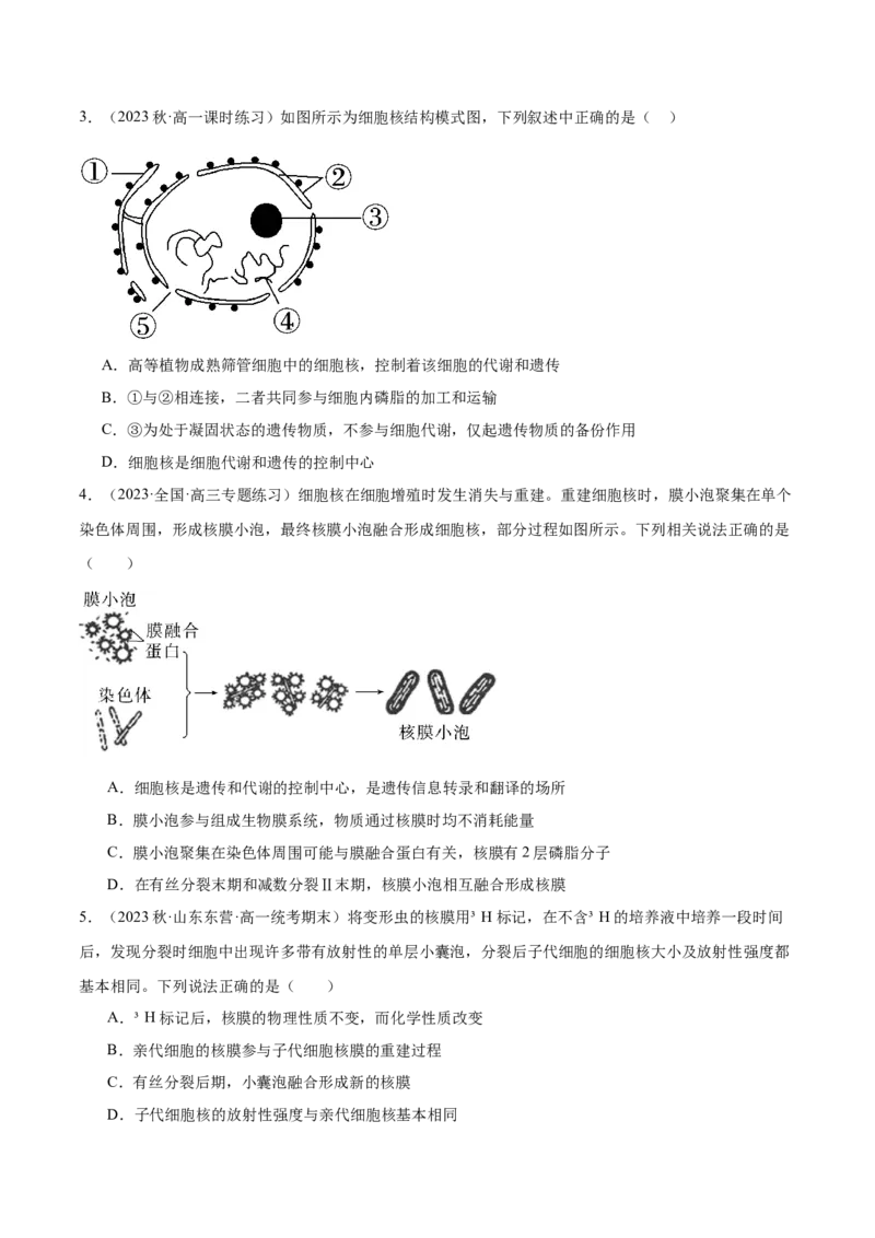 第3讲细胞核的结构和功能（原卷版）_通用版（老高考）复习资料_2024年复习资料_完备战2024年高考生物一轮复习考点帮（全国通用）_专题三细胞的基本结构和物质的运输