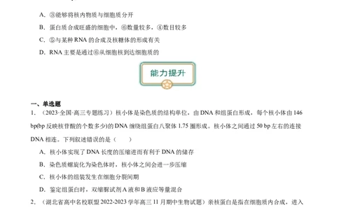 第3讲细胞核的结构和功能（原卷版）_通用版（老高考）复习资料_2024年复习资料_完备战2024年高考生物一轮复习考点帮（全国通用）_专题三细胞的基本结构和物质的运输
