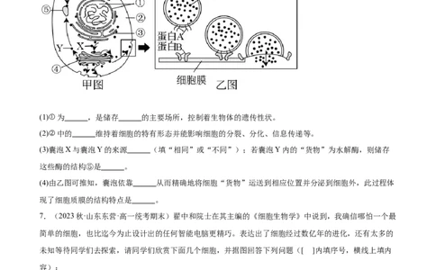 第3讲细胞核的结构和功能（原卷版）_通用版（老高考）复习资料_2024年复习资料_完备战2024年高考生物一轮复习考点帮（全国通用）_专题三细胞的基本结构和物质的运输