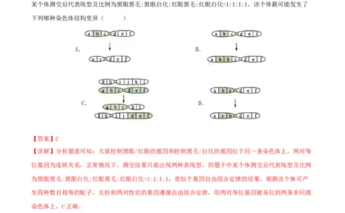 第20练染色体变异（解析版）_新高考复习资料_2023年新高考复习资料_一轮复习_2023年高考生物一轮复习小题多维练（新高考专用）