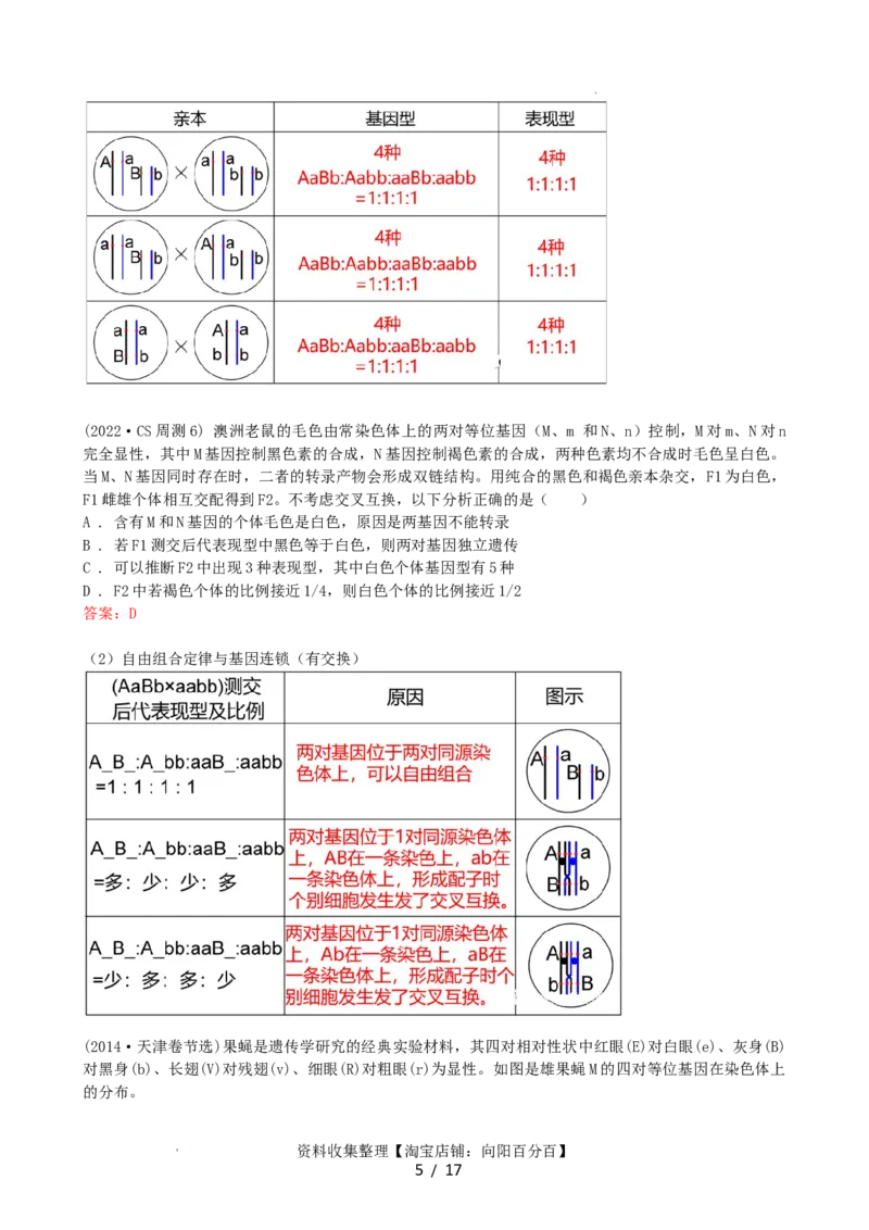 第17.2讲基因的自由组合定律相关题型（讲义）（教师版）_新高考复习资料_2024年新高考复习资料_一轮复习资料_完2024年高考生物一轮复习讲练测(课件+讲义+练习)（新高考）_讲义+练习