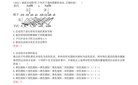 第17.2讲基因的自由组合定律相关题型（讲义）（教师版）_新高考复习资料_2024年新高考复习资料_一轮复习资料_完2024年高考生物一轮复习讲练测(课件+讲义+练习)（新高考）_讲义+练习