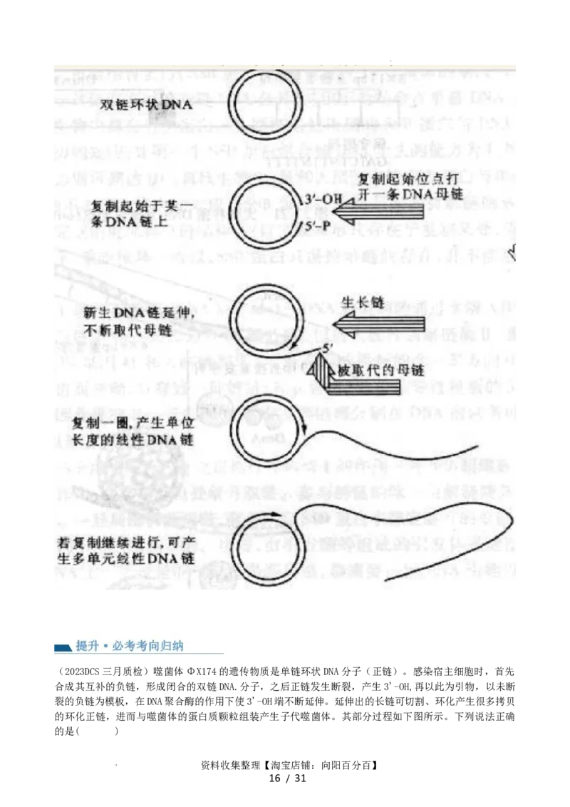 第21讲DNA分子的结构、复制与基因的本质（讲义）（教师版）_新高考复习资料_2024年新高考复习资料_一轮复习资料_完2024年高考生物一轮复习讲练测(课件+讲义+练习)（新高考）