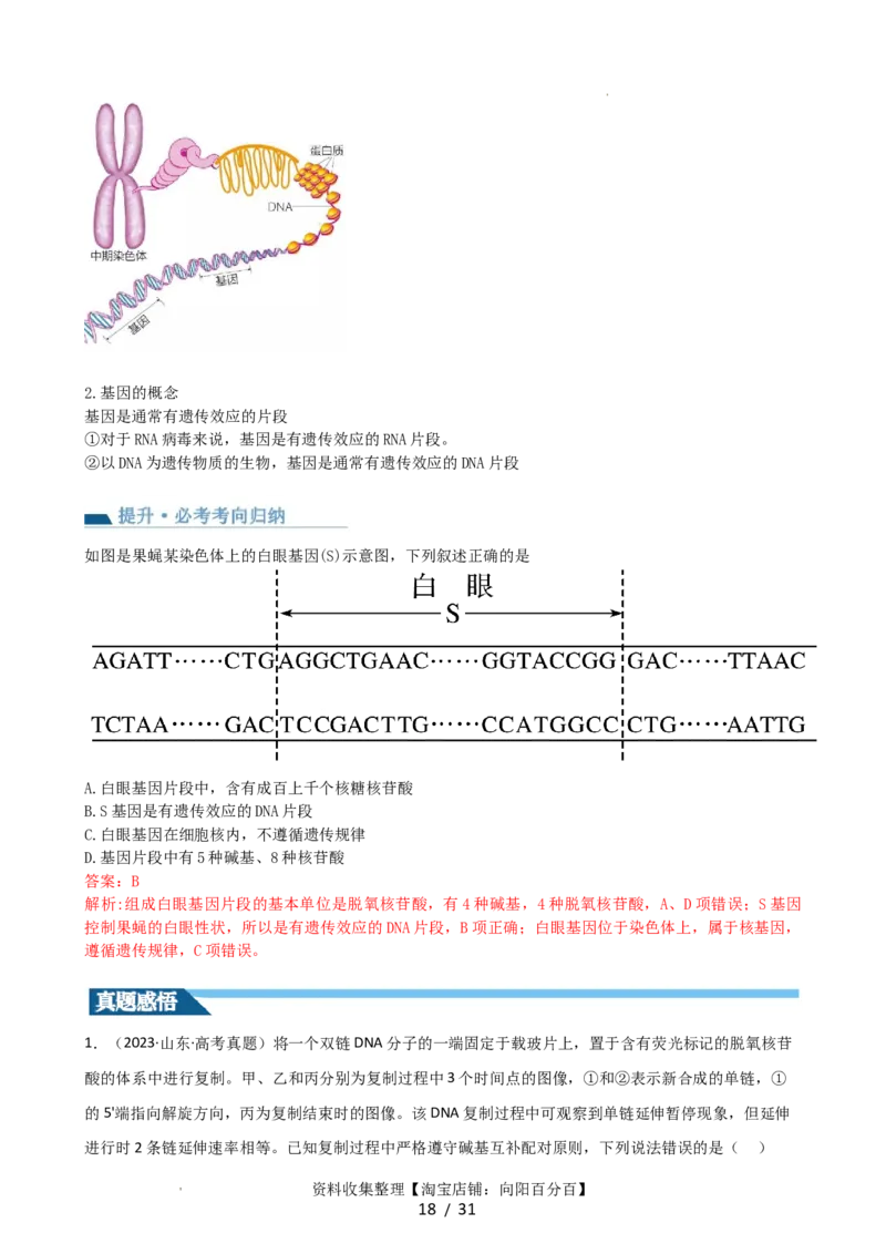 第21讲DNA分子的结构、复制与基因的本质（讲义）（教师版）_新高考复习资料_2024年新高考复习资料_一轮复习资料_完2024年高考生物一轮复习讲练测(课件+讲义+练习)（新高考）