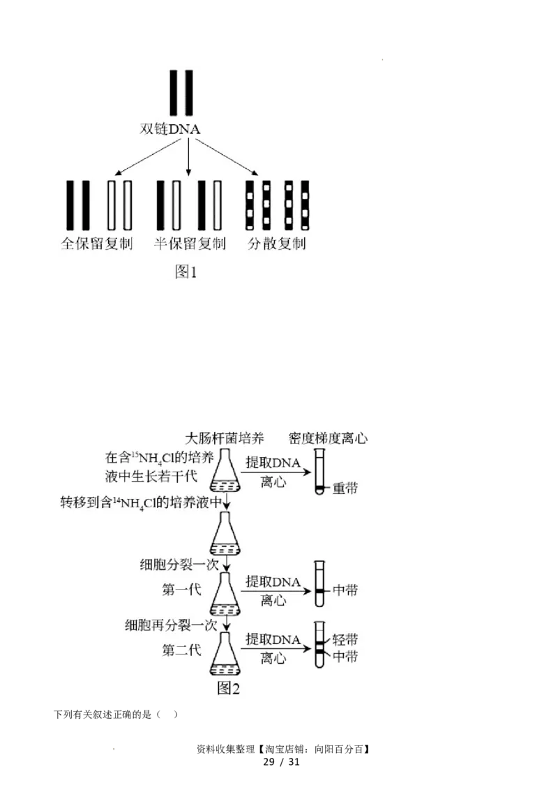 第21讲DNA分子的结构、复制与基因的本质（讲义）（教师版）_新高考复习资料_2024年新高考复习资料_一轮复习资料_完2024年高考生物一轮复习讲练测(课件+讲义+练习)（新高考）