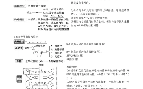 第21讲DNA分子的结构、复制与基因的本质（讲义）（教师版）_新高考复习资料_2024年新高考复习资料_一轮复习资料_完2024年高考生物一轮复习讲练测(课件+讲义+练习)（新高考）