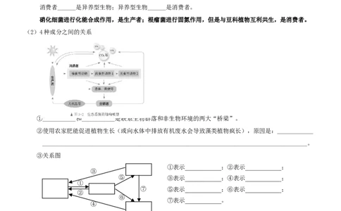 第45讲生态系统的结构及其稳定性（知识清单）_新高考复习资料_2025年新高考资料_备战2025年高考生物一轮复习课件+知识清单