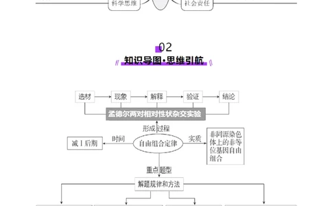 第16讲自由组合定律（第二课时）（讲义）（原卷版）_2025年新高考资料_一轮复习_2025年高考生物一轮复习讲练测（新教材新高考）