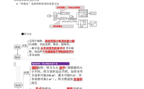 第33讲种群及其动态（讲义）（教师版）_新高考复习资料_2024年新高考复习资料_一轮复习资料_完2024年高考生物一轮复习讲练测(课件+讲义+练习)（新高考）_讲义+练习