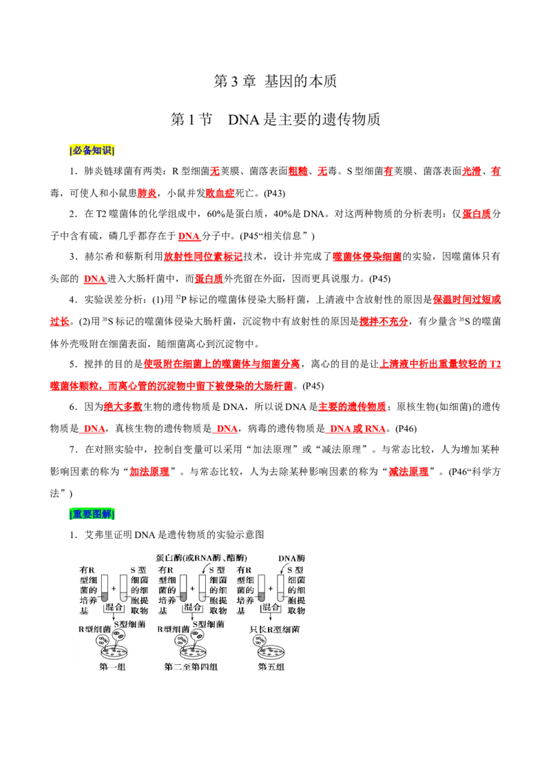 第3章基因的本质（背诵版）_2025年新高考资料_专项复习_晨读晚默备战2025年高考生物必背知识清单_第3章基因的本质-晨读晚默备战2025年高考生物必背知识清单