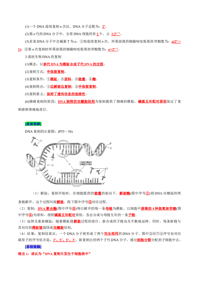 第3章基因的本质（背诵版）_2025年新高考资料_专项复习_晨读晚默备战2025年高考生物必背知识清单_第3章基因的本质-晨读晚默备战2025年高考生物必背知识清单