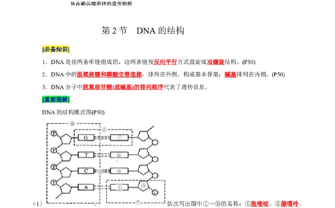 第3章基因的本质（背诵版）_2025年新高考资料_专项复习_晨读晚默备战2025年高考生物必背知识清单_第3章基因的本质-晨读晚默备战2025年高考生物必背知识清单