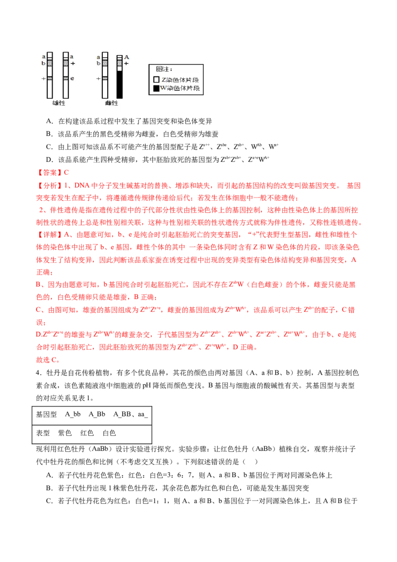 第16讲自由组合定律（第二课时）（练习）（解析版）_2025年新高考资料_一轮复习_2025年高考生物一轮复习讲练测（新教材新高考）