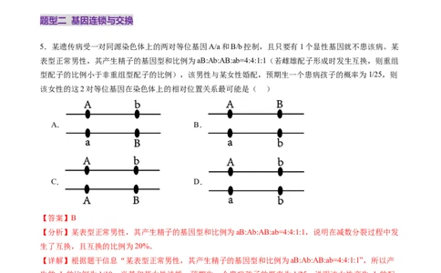第16讲自由组合定律（第二课时）（练习）（解析版）_2025年新高考资料_一轮复习_2025年高考生物一轮复习讲练测（新教材新高考）