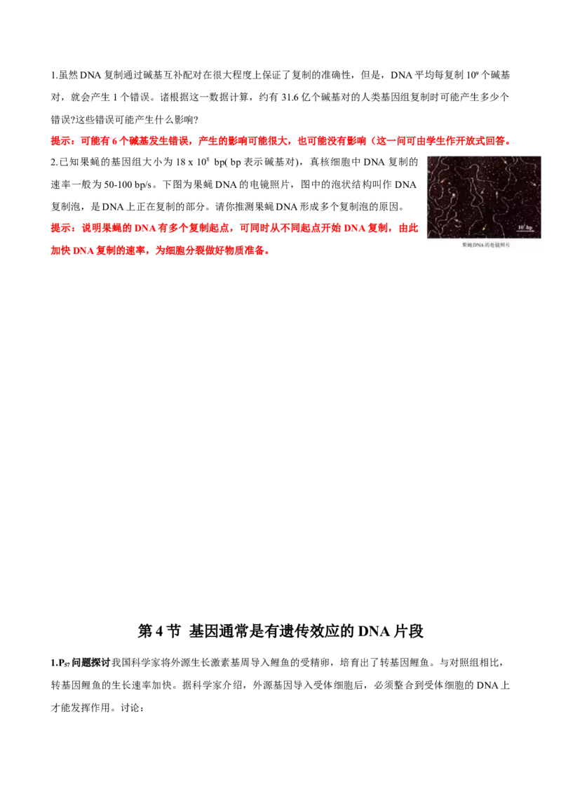 第3章基因的本质-查漏补缺2023年高考生物一轮复习教材必背细节与旁栏思考梳理汇总（新教材）（答案版）_新高考复习资料_2023年新高考复习资料_一轮复习