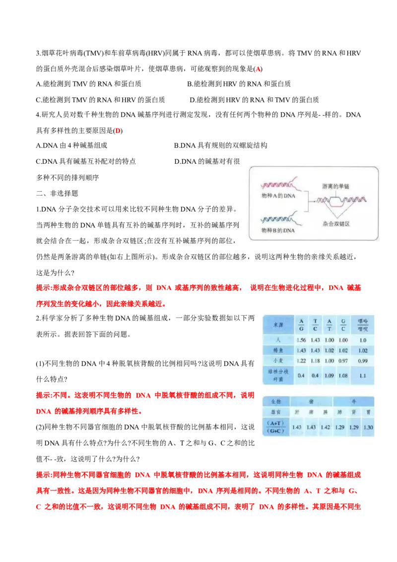 第3章基因的本质-查漏补缺2023年高考生物一轮复习教材必背细节与旁栏思考梳理汇总（新教材）（答案版）_新高考复习资料_2023年新高考复习资料_一轮复习