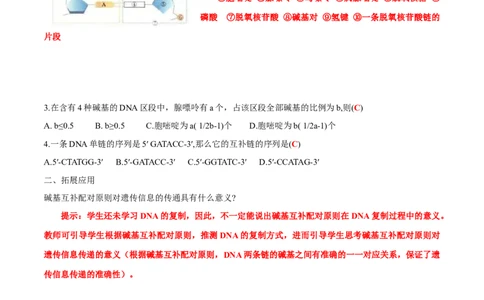 第3章基因的本质-查漏补缺2023年高考生物一轮复习教材必背细节与旁栏思考梳理汇总（新教材）（答案版）_新高考复习资料_2023年新高考复习资料_一轮复习
