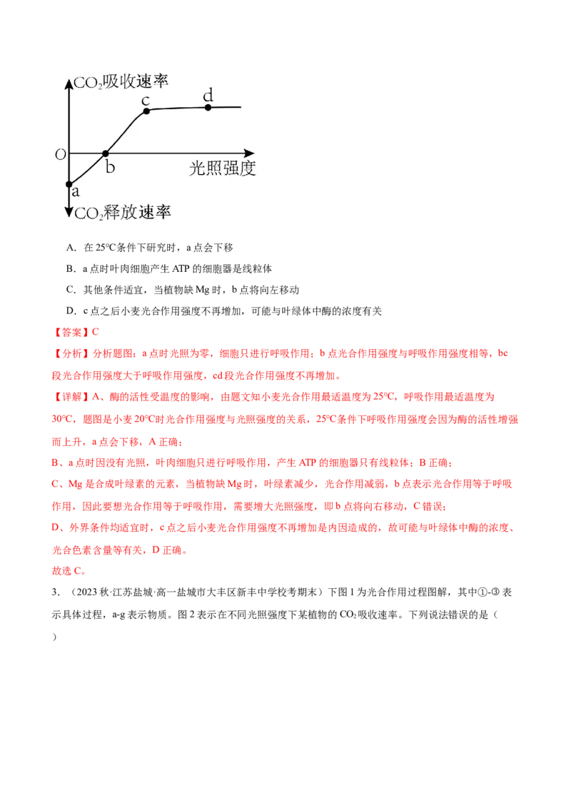第4讲光与光合作用（解析版）_通用版（老高考）复习资料_2024年复习资料_完备战2024年高考生物一轮复习考点帮（全国通用）_专题四细胞的能量供应和利用
