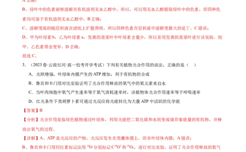 第4讲光与光合作用（解析版）_通用版（老高考）复习资料_2024年复习资料_完备战2024年高考生物一轮复习考点帮（全国通用）_专题四细胞的能量供应和利用