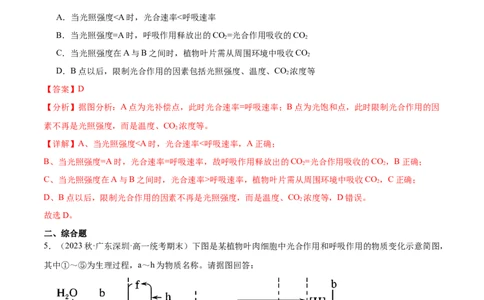 第4讲光与光合作用（解析版）_通用版（老高考）复习资料_2024年复习资料_完备战2024年高考生物一轮复习考点帮（全国通用）_专题四细胞的能量供应和利用