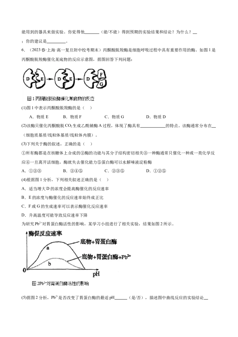第1讲降低化学反应活化能的酶(原卷版)_通用版（老高考）复习资料_2024年复习资料_完备战2024年高考生物一轮复习考点帮（全国通用）_专题四细胞的能量供应和利用
