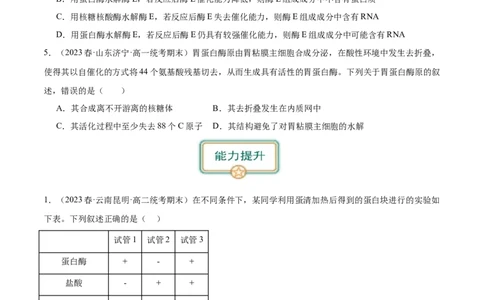 第1讲降低化学反应活化能的酶(原卷版)_通用版（老高考）复习资料_2024年复习资料_完备战2024年高考生物一轮复习考点帮（全国通用）_专题四细胞的能量供应和利用