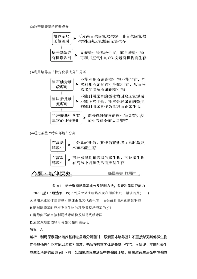 第31讲　微生物的培养技术及应用_新高考复习资料_2023年新高考复习资料_一轮复习_2023年新高考大一轮复习讲义_2023年高考生物一轮复习讲义（新人教新高考）_赠补充习题