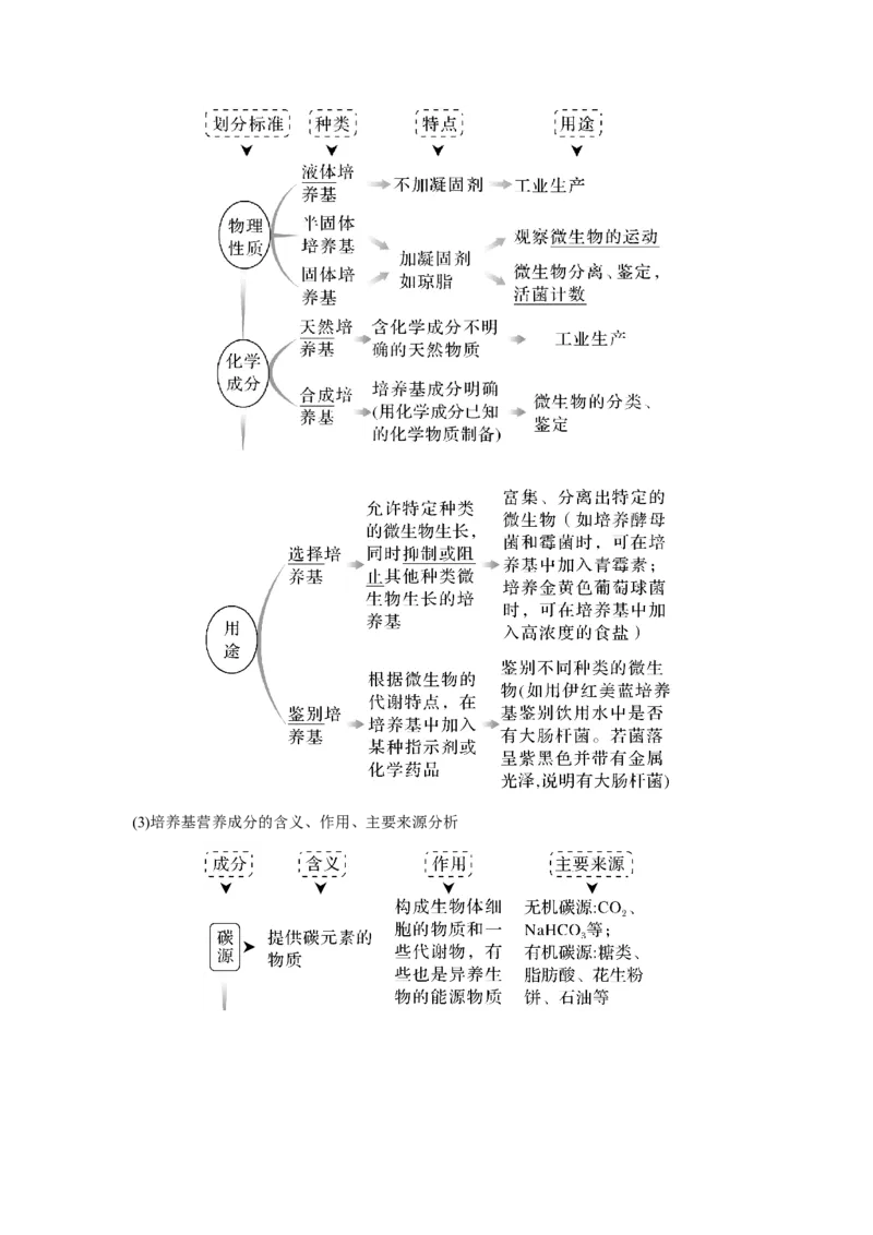 第31讲　微生物的培养技术及应用_新高考复习资料_2023年新高考复习资料_一轮复习_2023年新高考大一轮复习讲义_2023年高考生物一轮复习讲义（新人教新高考）_赠补充习题