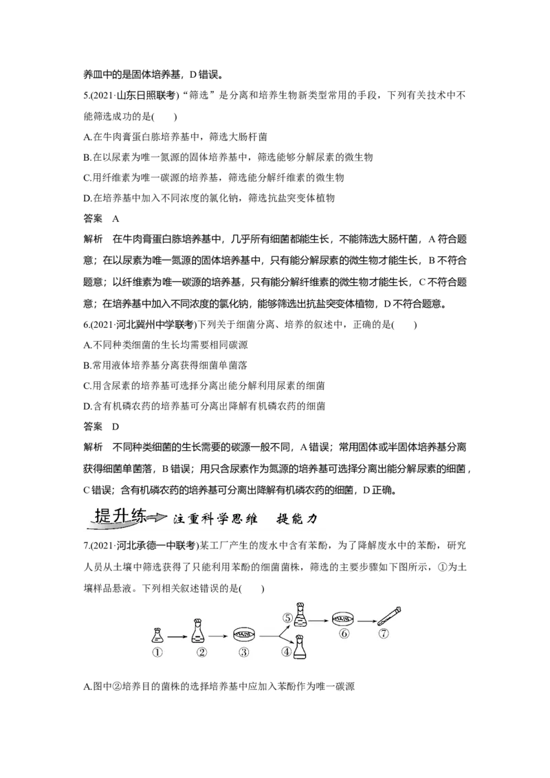 第31讲　微生物的培养技术及应用_新高考复习资料_2023年新高考复习资料_一轮复习_2023年新高考大一轮复习讲义_2023年高考生物一轮复习讲义（新人教新高考）_赠补充习题