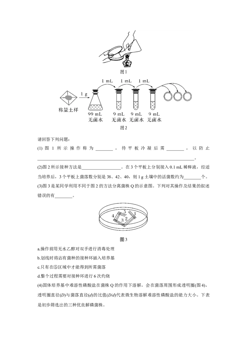 第31讲　微生物的培养技术及应用_新高考复习资料_2023年新高考复习资料_一轮复习_2023年新高考大一轮复习讲义_2023年高考生物一轮复习讲义（新人教新高考）_赠补充习题
