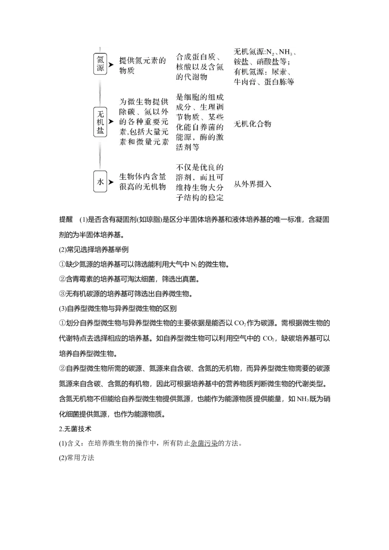 第31讲　微生物的培养技术及应用_新高考复习资料_2023年新高考复习资料_一轮复习_2023年新高考大一轮复习讲义_2023年高考生物一轮复习讲义（新人教新高考）_赠补充习题