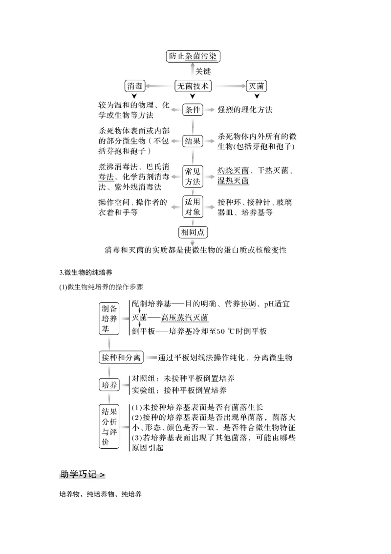 第31讲　微生物的培养技术及应用_新高考复习资料_2023年新高考复习资料_一轮复习_2023年新高考大一轮复习讲义_2023年高考生物一轮复习讲义（新人教新高考）_赠补充习题
