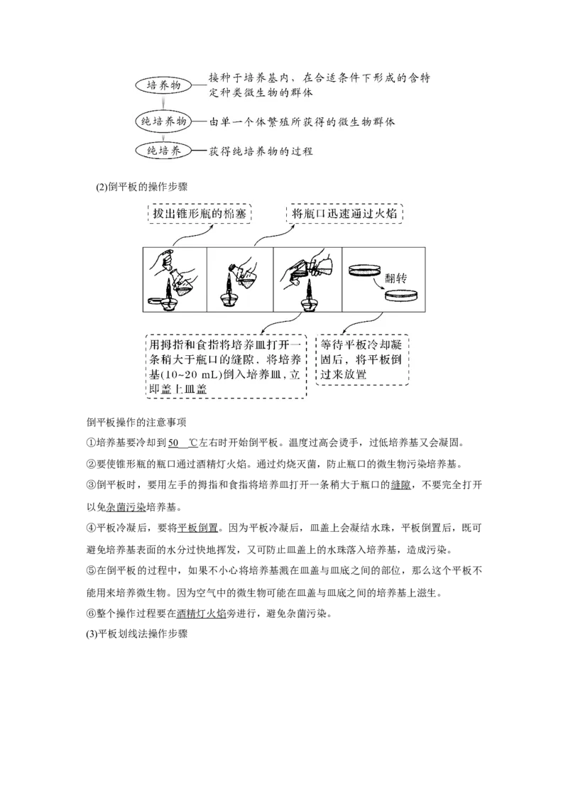 第31讲　微生物的培养技术及应用_新高考复习资料_2023年新高考复习资料_一轮复习_2023年新高考大一轮复习讲义_2023年高考生物一轮复习讲义（新人教新高考）_赠补充习题