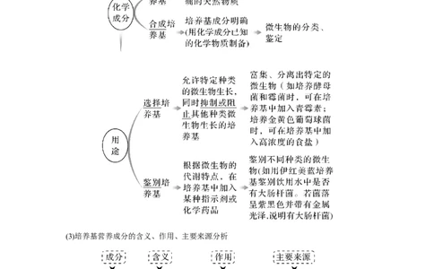 第31讲　微生物的培养技术及应用_新高考复习资料_2023年新高考复习资料_一轮复习_2023年新高考大一轮复习讲义_2023年高考生物一轮复习讲义（新人教新高考）_赠补充习题