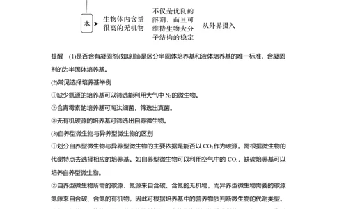 第31讲　微生物的培养技术及应用_新高考复习资料_2023年新高考复习资料_一轮复习_2023年新高考大一轮复习讲义_2023年高考生物一轮复习讲义（新人教新高考）_赠补充习题