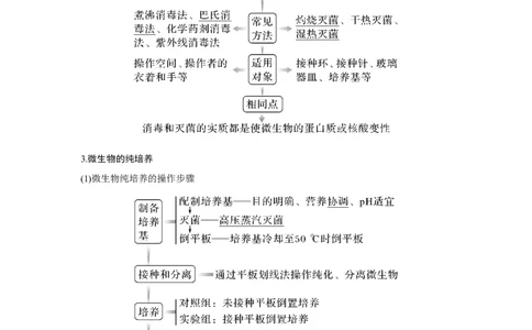 第31讲　微生物的培养技术及应用_新高考复习资料_2023年新高考复习资料_一轮复习_2023年新高考大一轮复习讲义_2023年高考生物一轮复习讲义（新人教新高考）_赠补充习题