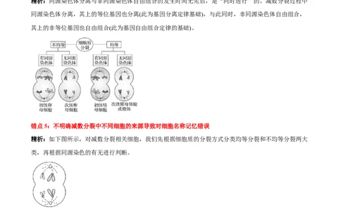 第2章基因和染色体的关系（背诵版）_2025年新高考资料_专项复习_晨读晚默备战2025年高考生物必背知识清单_第2章基因和染色体的关系-晨读晚默备战2025年高考生物必背知识清单