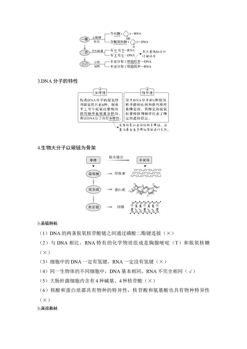 第3讲蛋白质和核酸_通用版（老高考）复习资料_2023年复习资料_一轮复习_2023年高考生物一轮复习讲义+课件（全国版）_2023年高考生物一轮复习讲义（全国版）_赠补充习题