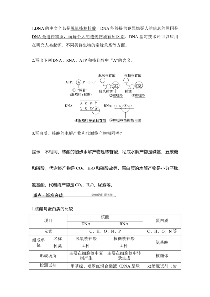 第3讲蛋白质和核酸_通用版（老高考）复习资料_2023年复习资料_一轮复习_2023年高考生物一轮复习讲义+课件（全国版）_2023年高考生物一轮复习讲义（全国版）_赠补充习题