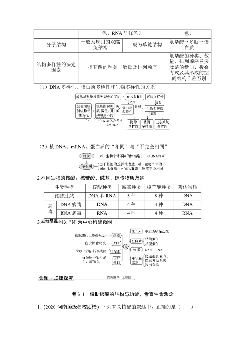 第3讲蛋白质和核酸_通用版（老高考）复习资料_2023年复习资料_一轮复习_2023年高考生物一轮复习讲义+课件（全国版）_2023年高考生物一轮复习讲义（全国版）_赠补充习题