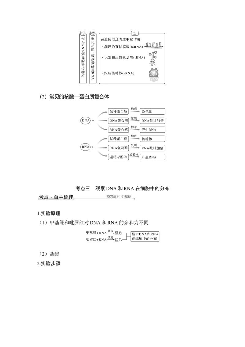 第3讲蛋白质和核酸_通用版（老高考）复习资料_2023年复习资料_一轮复习_2023年高考生物一轮复习讲义+课件（全国版）_2023年高考生物一轮复习讲义（全国版）_赠补充习题