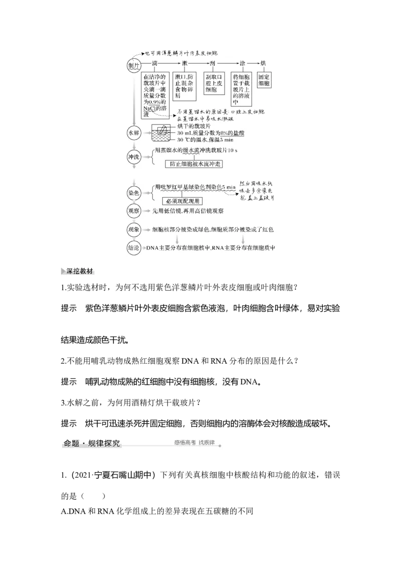 第3讲蛋白质和核酸_通用版（老高考）复习资料_2023年复习资料_一轮复习_2023年高考生物一轮复习讲义+课件（全国版）_2023年高考生物一轮复习讲义（全国版）_赠补充习题