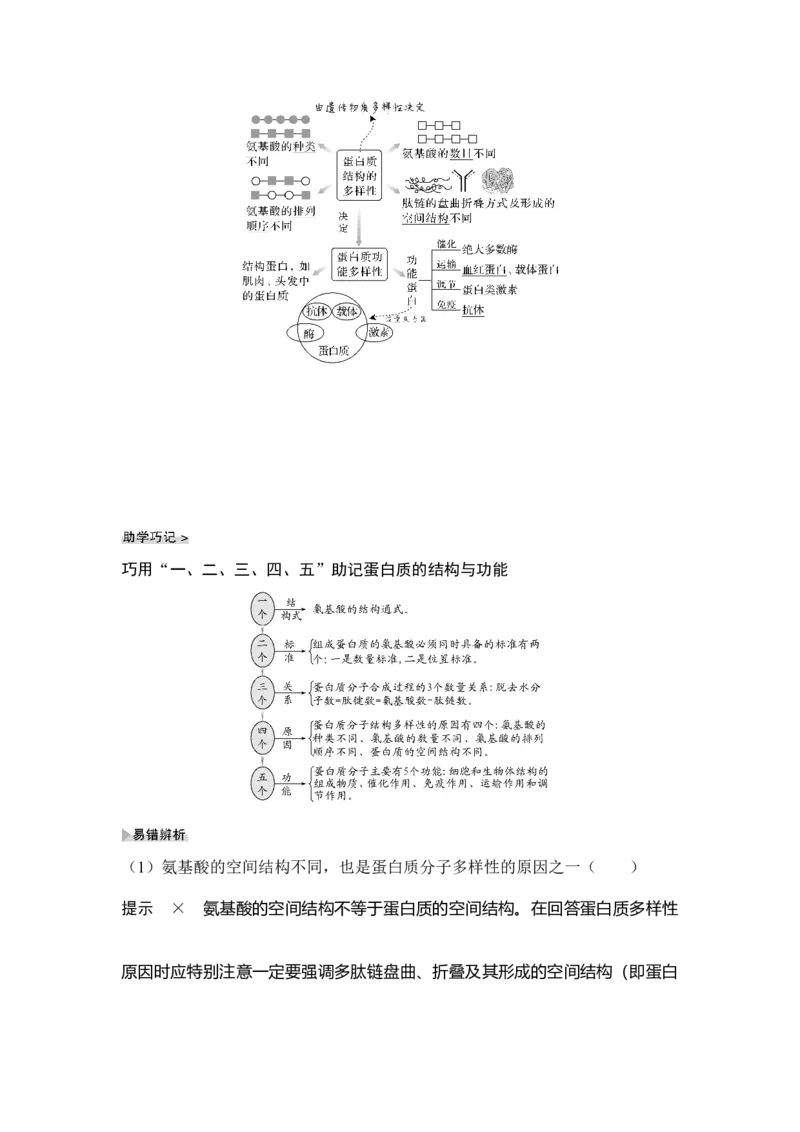 第3讲蛋白质和核酸_通用版（老高考）复习资料_2023年复习资料_一轮复习_2023年高考生物一轮复习讲义+课件（全国版）_2023年高考生物一轮复习讲义（全国版）_赠补充习题