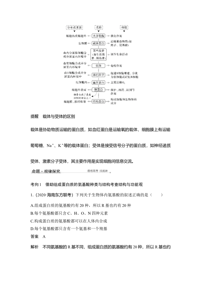 第3讲蛋白质和核酸_通用版（老高考）复习资料_2023年复习资料_一轮复习_2023年高考生物一轮复习讲义+课件（全国版）_2023年高考生物一轮复习讲义（全国版）_赠补充习题